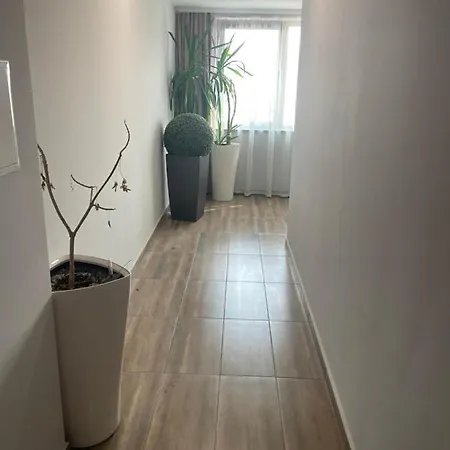 דירה Teddy וליקו טורנובו