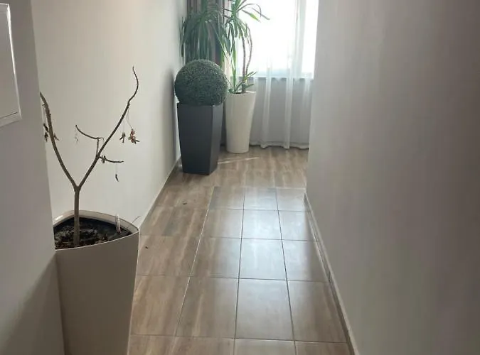 Apartament Teddy Wielkie Tyrnowo