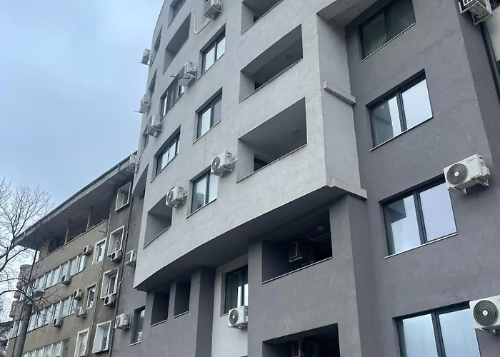 Teddy * Wielkie Tyrnowo